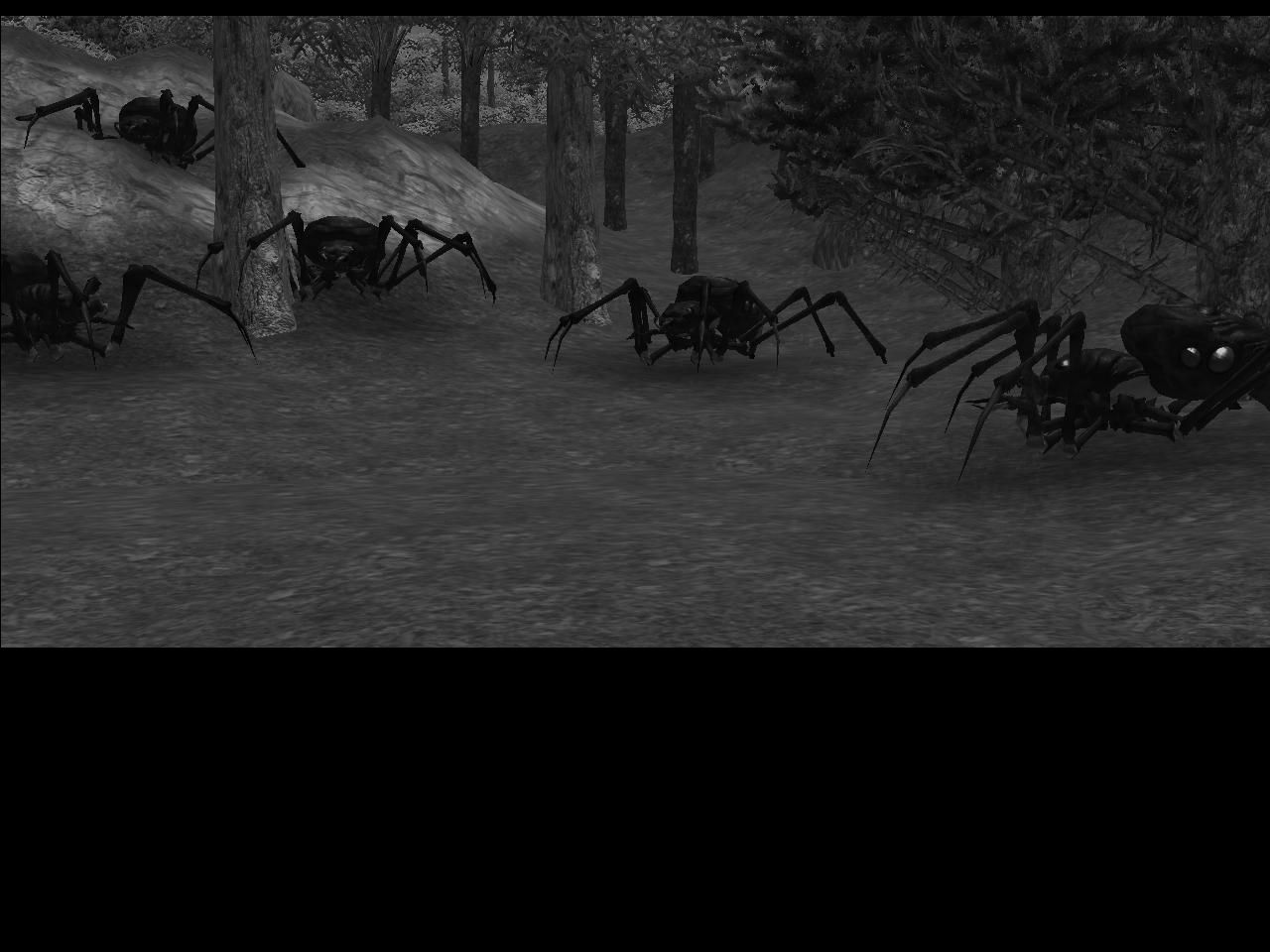 Giant spiders plague the Cloakwood.jpg
